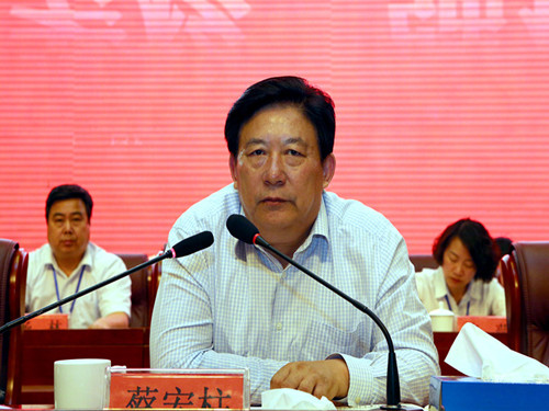 集团党委书记、董事长蔡宏柱出席会议并作重要讲话